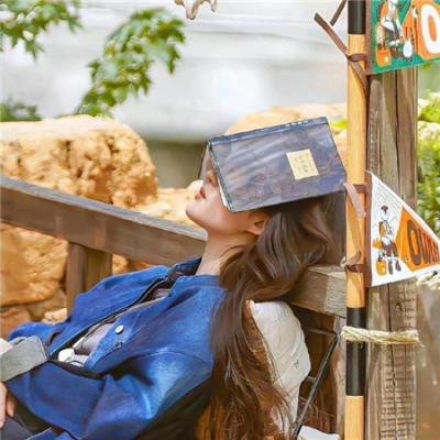 工程师普赖特的方案